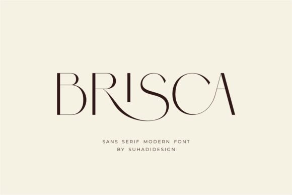 Mastering Modern Typography with the Brisca Font